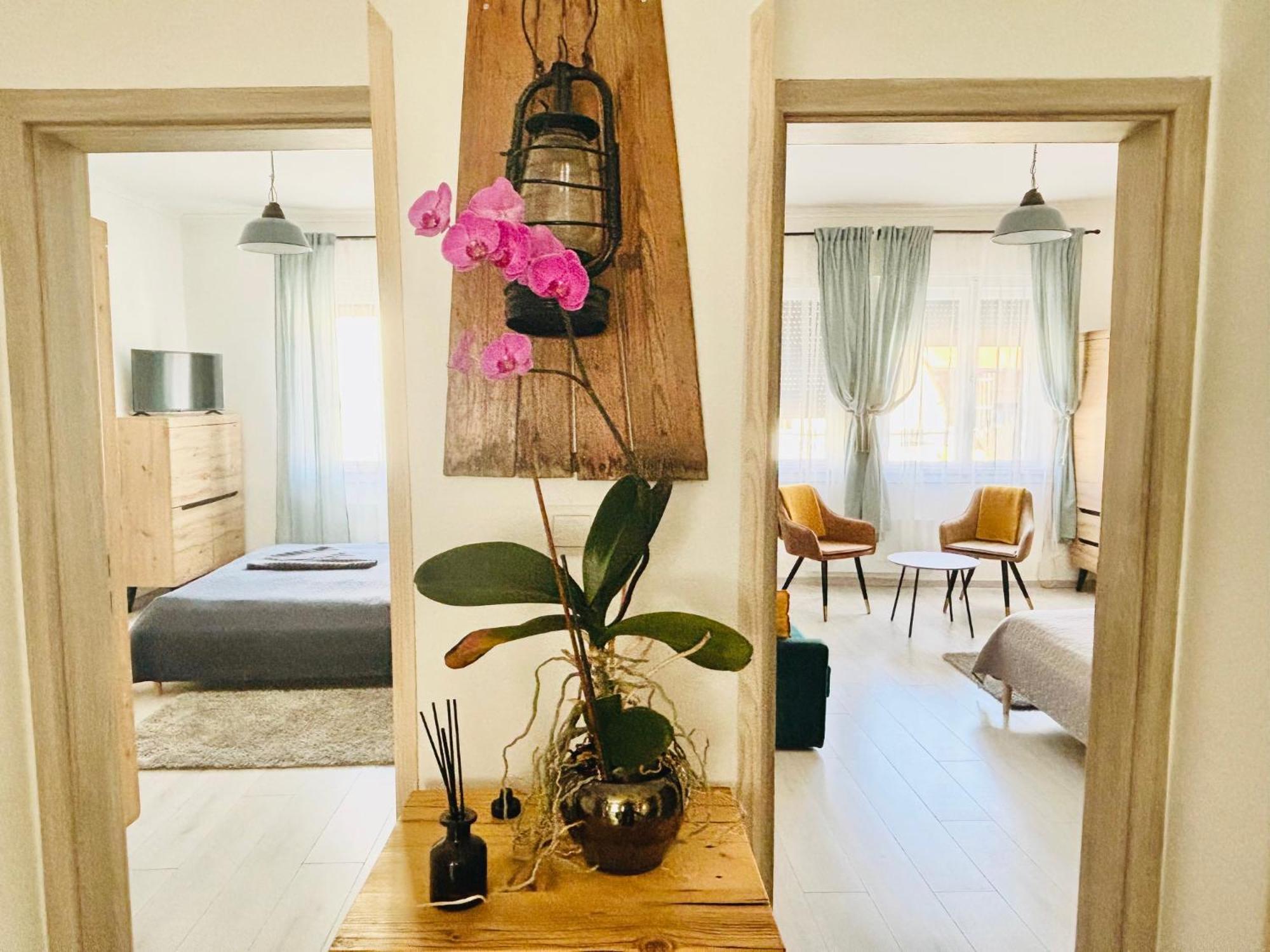 Peter Dock Boutique Villa 凯斯特海伊 外观 照片
